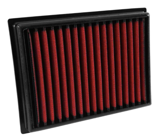 AEM Induction AEM DryFlow Air Filter