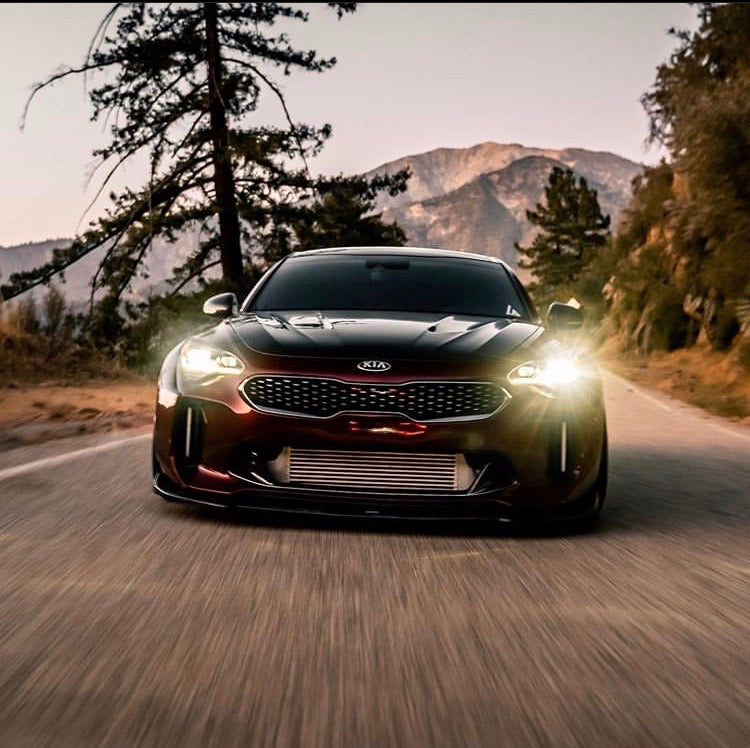 Kia Stinger SBGT Carbon Fiber Hood