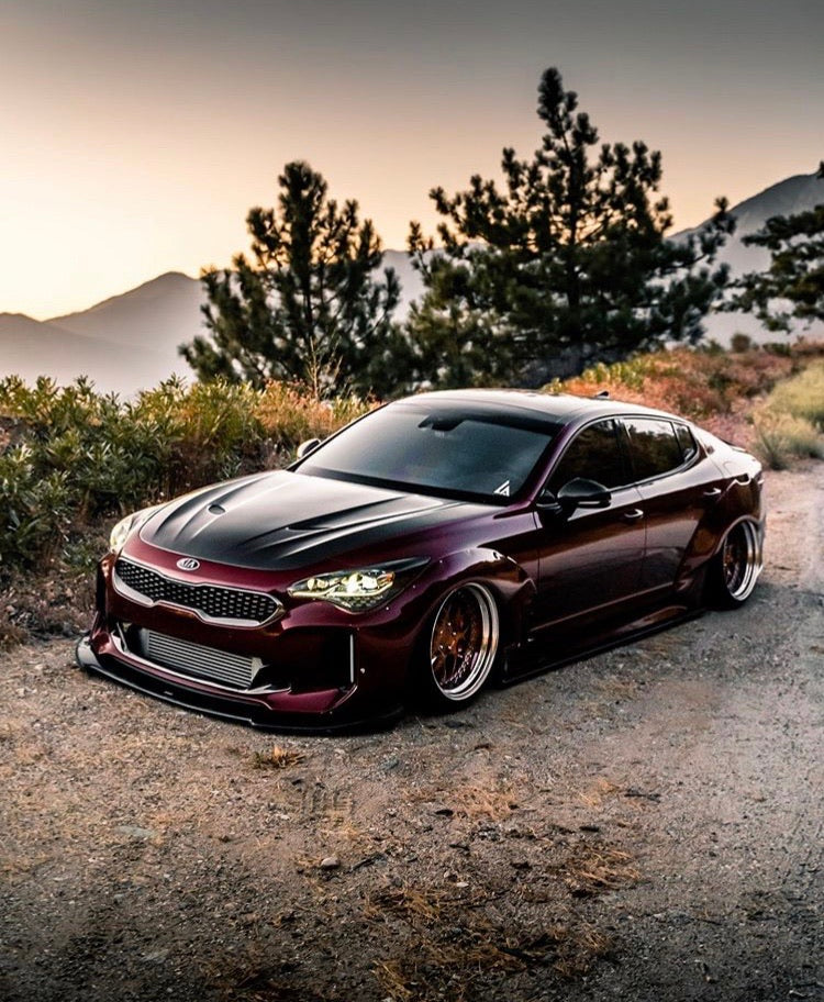 Kia Stinger SBGT Carbon Fiber Hood