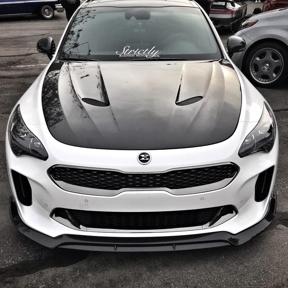 SBGT Kia Stinger Carbon Fiber Front Splitter    Shipping included