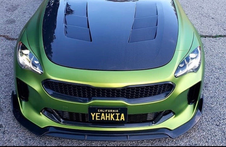 SBGT Kia Stinger Carbon Fiber Front Splitter    Shipping included