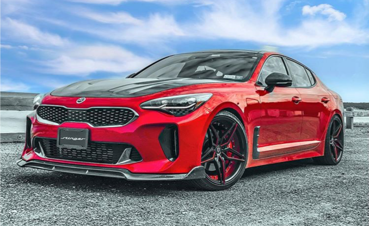 SBGT Kia Stinger Carbon Fiber Front Splitter    Shipping included
